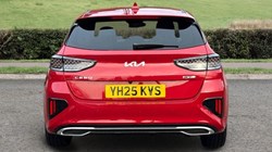 2025 (25) KIA CEED 1.5T GDi ISG 138 GT-Line 5dr DCT 5038595