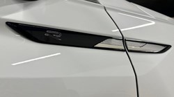 2022 (72) VOLKSWAGEN TIGUAN 2.0 TSI 4Motion R-Line 5dr DSG 5049265