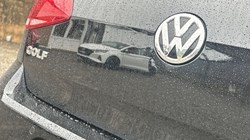 2019 (69) VOLKSWAGEN GOLF 1.5 TSI EVO Match Edition 5dr 5111812