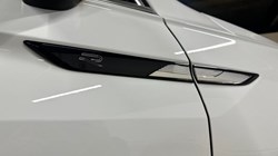 2022 (72) VOLKSWAGEN TIGUAN 2.0 TSI 4Motion R-Line 5dr DSG 5101518