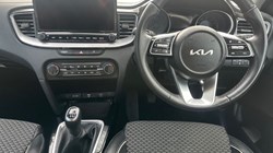 2023 (72) KIA CEED 1.5T GDi ISG 3 5dr 5275835
