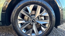 2024 (73) KIA SPORTAGE 1.6T GDi HEV GT-Line 5dr Auto 5256542