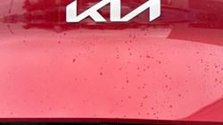 2025 (25) KIA SPORTAGE 1.6T GDi 157 48V ISG 2 5dr 5207279