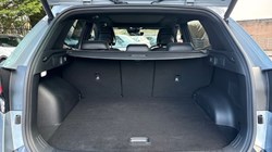2023 (73) KIA SPORTAGE 1.6T GDi HEV GT-Line S 5dr Auto 5220215