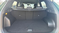 2025 (75) KIA SPORTAGE 1.6T GDi GT-Line 5dr DCT 5239075