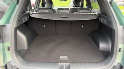 2026 (26) KIA SPORTAGE 1.6T GDi GT-Line 5dr DCT 5906970