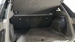 2025 (25) LAND ROVER RANGE ROVER EVOQUE 2.0 D200 Dynamic SE 5dr Auto 4806019