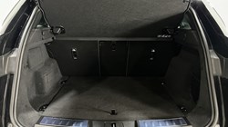 2025 (25) LAND ROVER RANGE ROVER EVOQUE 2.0 D200 Dynamic SE 5dr Auto 5168782