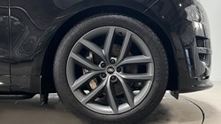 2025 (75) LAND ROVER RANGE ROVER SPORT 3.0 D300 Dynamic SE 5dr Auto 5216900