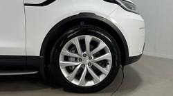 2023 (23) LAND ROVER COMMERCIAL DISCOVERY 3.0 D300 SE Commercial Auto 4655937