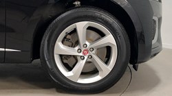 2023 (72) JAGUAR F-PACE 2.0 P400e R-Dynamic SE 5dr Auto AWD 4879529