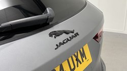 2024 (24) JAGUAR F-PACE 2.0 P250 R-Dynamic SE Black 5dr Auto AWD 4885138