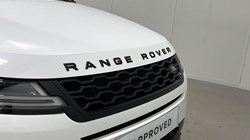 2020 (20) LAND ROVER RANGE ROVER EVOQUE 2.0 P200 SE 5dr Auto 5036576