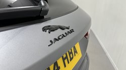 2024 (24) JAGUAR F-PACE 2.0 D200 R-Dynamic SE Black 5dr Auto AWD 5267518