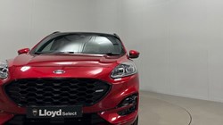 2021 (21) FORD KUGA 2.0 EcoBlue 190 ST-Line X Edition 5dr Auto AWD 5347357