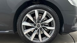 2022 (22) AUDI A4 35 TFSI Sport Edition 5dr S Tronic 5572595