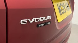 2019 (19) LAND ROVER RANGE ROVER EVOQUE 2.0 D180 SE 5dr Auto 5707585