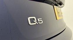 2019 (19) AUDI Q5 40 TDI Quattro Black Edition 5dr S Tronic 5695536