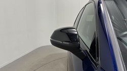 2019 (19) AUDI Q5 40 TDI Quattro Black Edition 5dr S Tronic 5695541