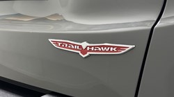 2020 (20) JEEP RENEGADE 2.0 Multijet Trailhawk 5dr 4WD Auto 5800896