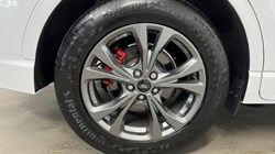 2021 (21) FORD KUGA 1.5 EcoBoost 150 ST-Line Edition 5dr 3285549