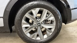 2025 (25) KIA SPORTAGE 1.6T GDi 207 HEV GT-Line S 5dr Auto AWD 4817967