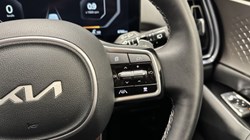 2025 (25) KIA SORENTO 2.2 CRDi 3 5dr DCT 4894837