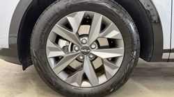 2025 (25) KIA SPORTAGE 1.6T GDi 207 HEV GT-Line 5dr Auto 5561299