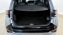 2023 (23) KIA SPORTAGE 1.6T GDi HEV GT-Line S 5dr Auto 4511022