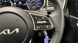 2025 (25) KIA CEED 1.5T GDi ISG 138 GT-Line 5dr DCT 4856729