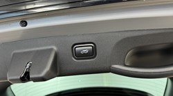 2025 (75) KIA SPORTAGE 1.6T GDi HEV GT-Line S 5dr Auto 4887776