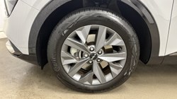 2025 (25) KIA SPORTAGE 1.6T GDi HEV Shadow 5dr Auto 4943230