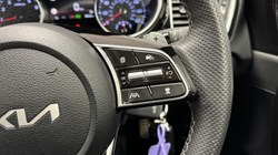 2025 (25) KIA CEED 1.5T GDi ISG 138 GT-Line 5dr DCT 4957844