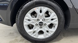 2025 (25) KIA CEED 1.5T GDi ISG 138 2 5dr 4989972