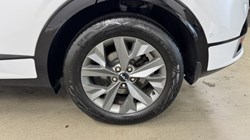 2022 (72) KIA SPORTAGE 1.6T GDi HEV GT-Line S 5dr Auto AWD 5037823