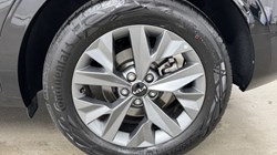 2024 (74) KIA SPORTAGE 1.6T GDi 207 HEV GT-Line S 5dr Auto 5115768