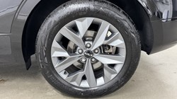 2025 (75) KIA SPORTAGE 1.6T GDi 207 HEV GT-Line 5dr Auto 5202019