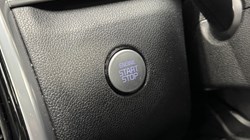 2024 (24) KIA SORENTO 2.2 CRDi Vision 5dr DCT 5182958