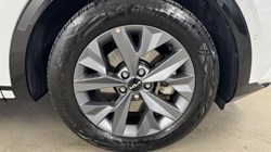 2025 (25) KIA SPORTAGE 1.6T GDi 207 HEV GT-Line S 5dr Auto 5305506