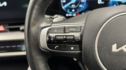 2023 (23) KIA SPORTAGE 1.6 CRDi 134 48V ISG 3 5dr DCT 5300941