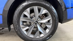 2023 (73) KIA SPORTAGE 1.6T GDi HEV GT-Line S 5dr Auto AWD 5443993