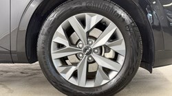 2025 (25) KIA SPORTAGE 1.6T GDi 207 HEV GT-Line S 5dr Auto 5567719