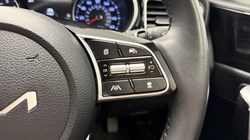 2025 (25) KIA CEED 1.5T GDi ISG 138 3 5dr DCT 5601835