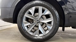 2023 (73) KIA SPORTAGE 1.6T GDi HEV GT-Line S 5dr Auto 5771899