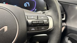 2023 (73) KIA Sportage Gt-Line Isg 5879411