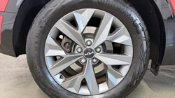2024 (24) KIA SPORTAGE 1.6T GDi HEV GT-Line 5dr Auto 5927287