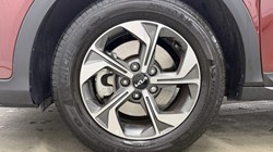 2026 (75) KIA XCEED 1.0T GDi ISG 113 Pure 5dr 5956827