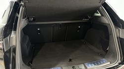 LAND ROVER RANGE ROVER EVOQUE 1.5 P270e Dynamic SE 5dr Auto 4152821