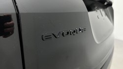 LAND ROVER RANGE ROVER EVOQUE 1.5 P270e Dynamic SE 5dr Auto 4206011