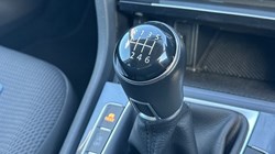 2020 (20) VOLKSWAGEN GOLF 1.5 TSI EVO Match Edition 5dr 5519687